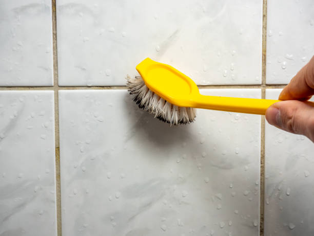 Best Attic Mold Removal  in Lucas, TX