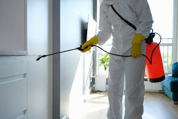 Office Mold Removal Services in Lucas, TX