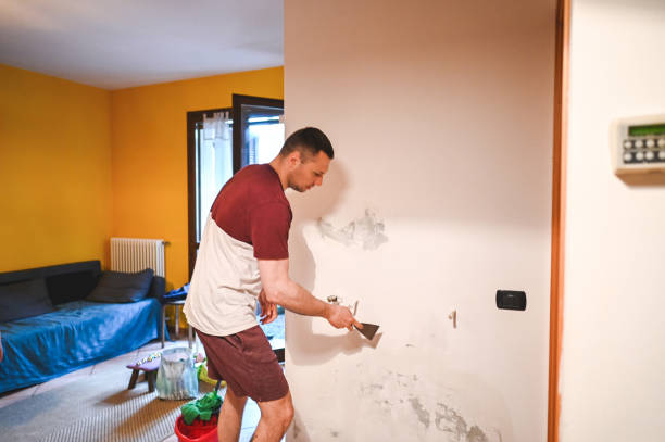 Best Same-Day Mold Removal  in Lucas, TX
